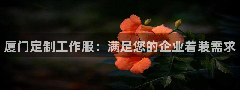 龙8手机版官方正版下载